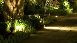 gardening lighting
